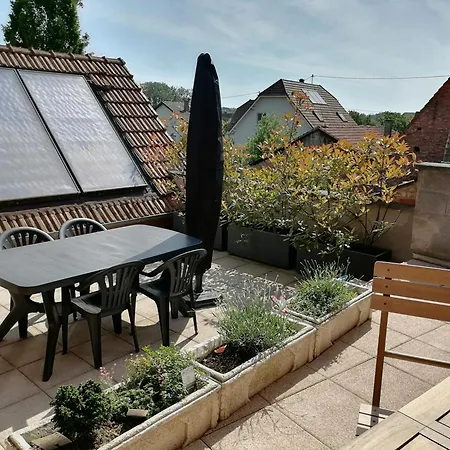 Apartment Et Terrasse Privee Ingolsheim