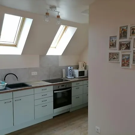 Apartment Et Terrasse Privee Ingolsheim